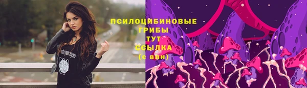 прущие крисы Кулебаки