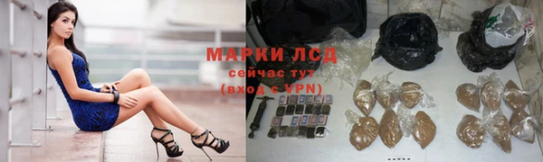 гидра Новочеркасск