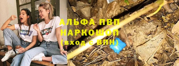 прущие крисы Кулебаки
