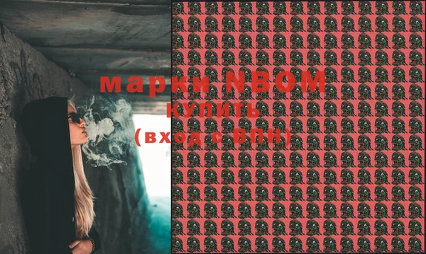 индика Лабытнанги