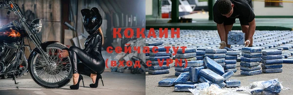прущие крисы Кулебаки