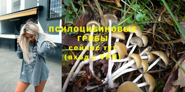 метадон Лагань