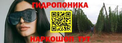 крисы Бийск