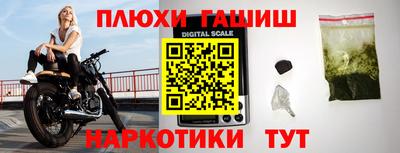 крисы Бийск