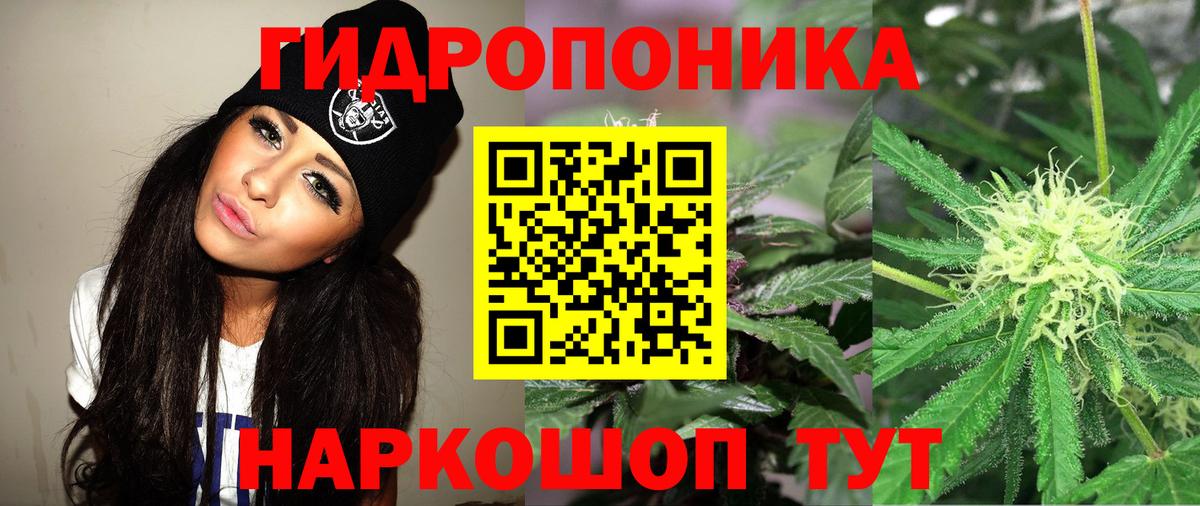 МАРИХУАНА гибрид  Темрюк  Канабис THC 21%  МАРИХУАНА VHQ 