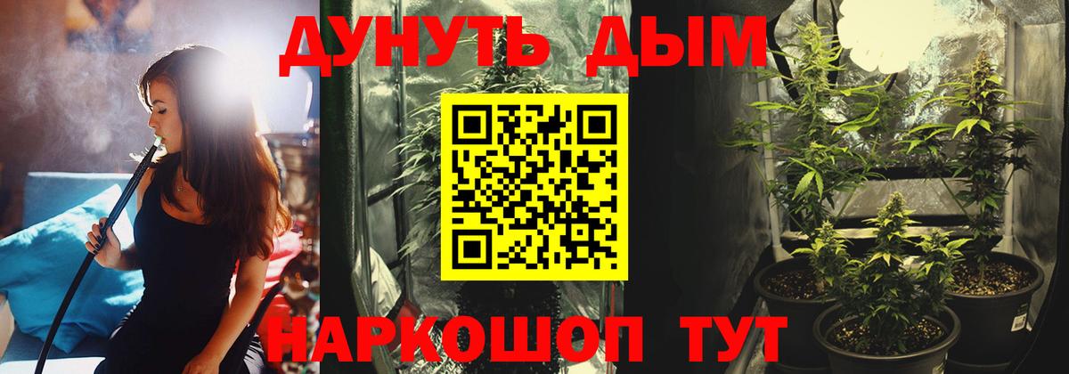 Бошки марихуана гибрид  МАРИХУАНА план  Темрюк  Вход с VPN  Бошки марихуана тримм 